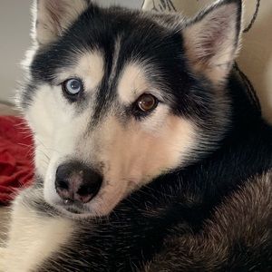 Meet your Posher, Tiffany